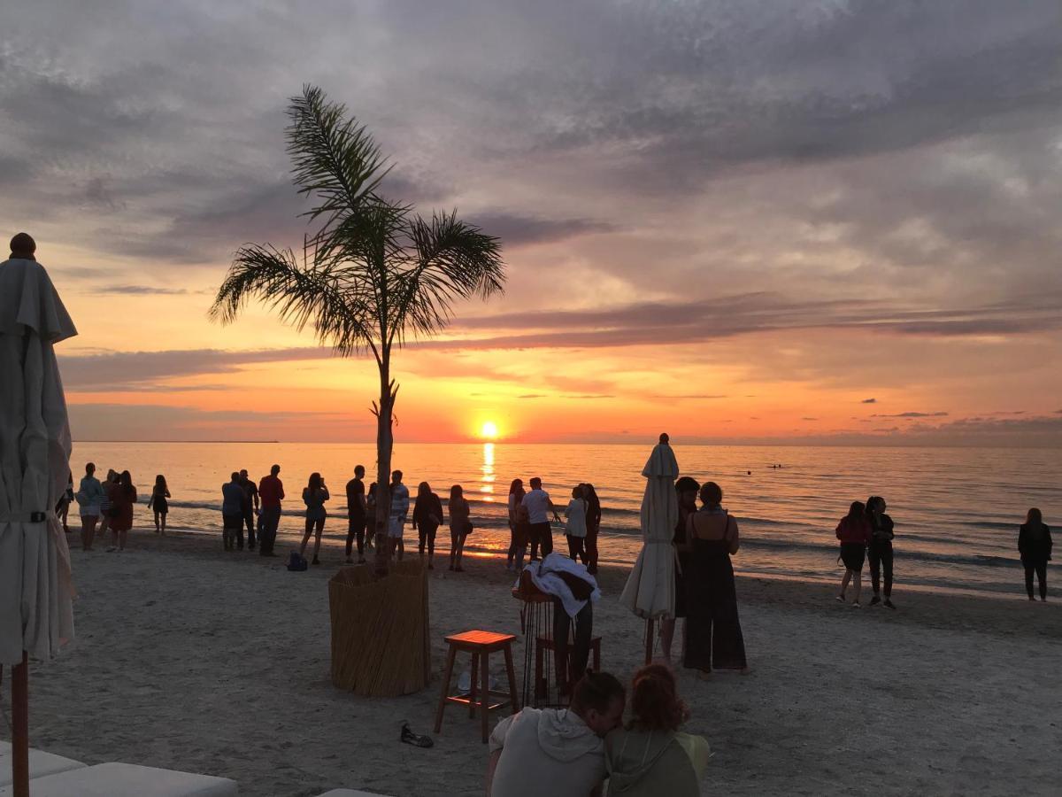 Arcadia Apartament Mamaia Nord ナボダリ エクステリア 写真