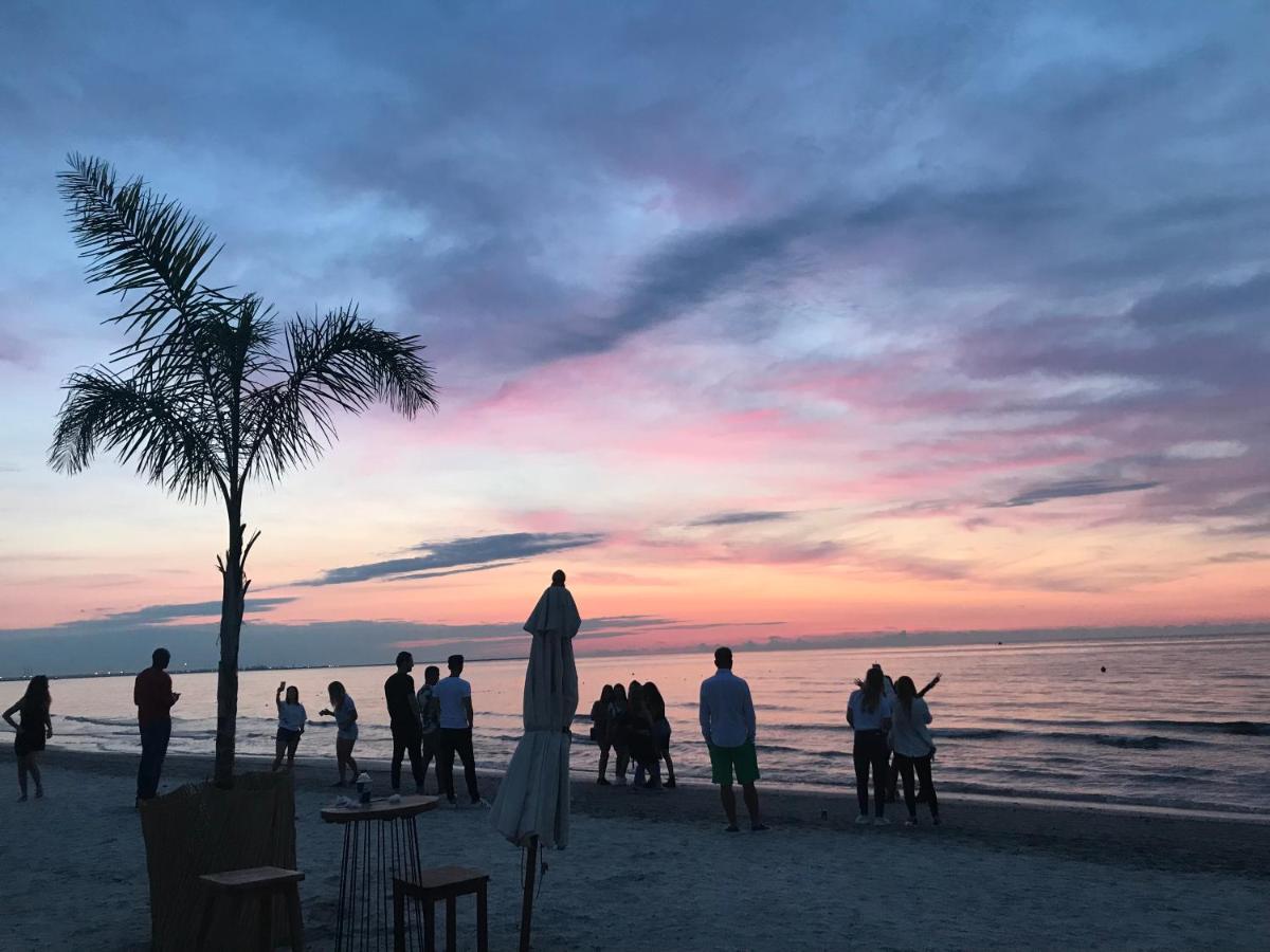 Arcadia Apartament Mamaia Nord ナボダリ エクステリア 写真