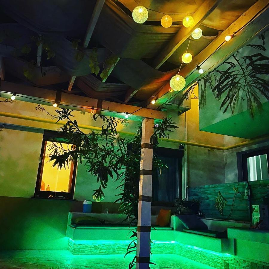 Arcadia Apartament Mamaia Nord ナボダリ エクステリア 写真